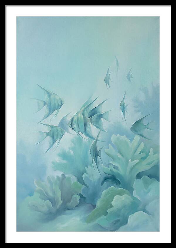 Tropical Fish School Over Coral