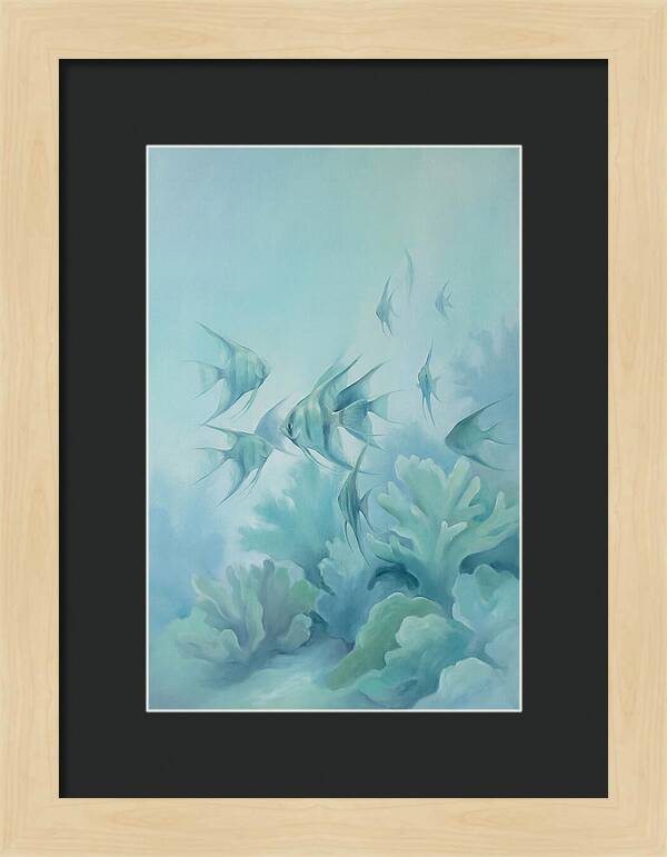 Tropical Fish School Over Coral