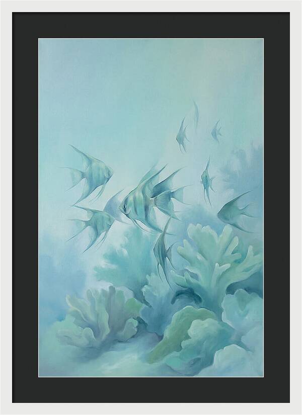 Tropical Fish School Over Coral