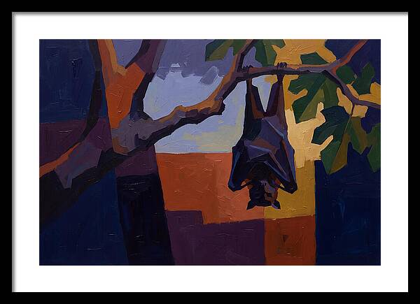 Tropical Fruit Bat Hanging From Fig Tree