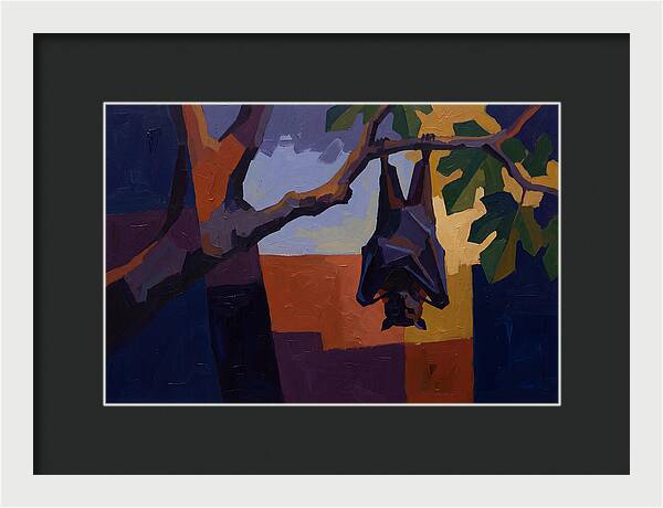 Tropical Fruit Bat Hanging From Fig Tree