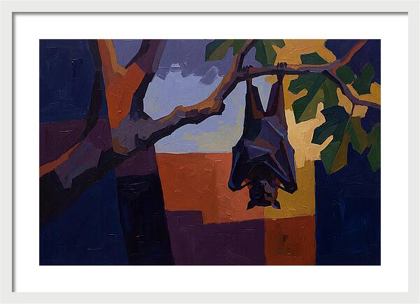 Tropical Fruit Bat Hanging From Fig Tree