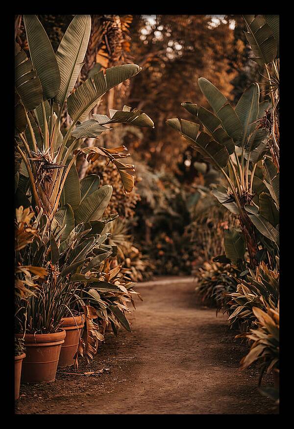 Tropical Garden Pathway