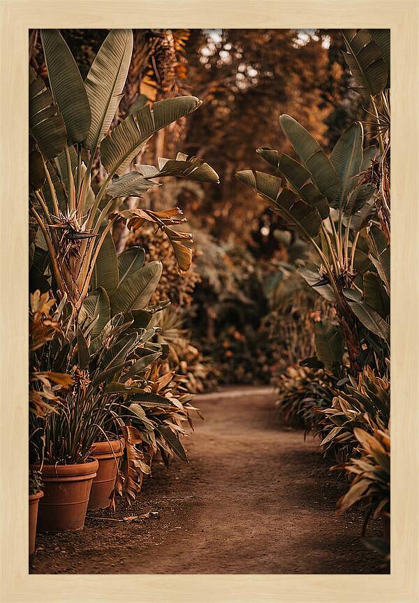 Tropical Garden Pathway