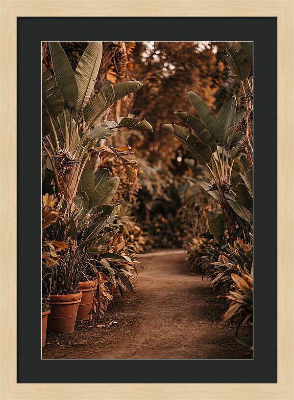 Tropical Garden Pathway