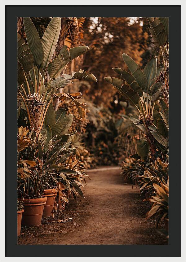 Tropical Garden Pathway