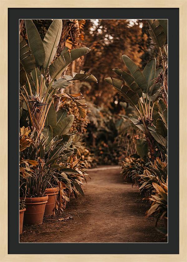 Tropical Garden Pathway