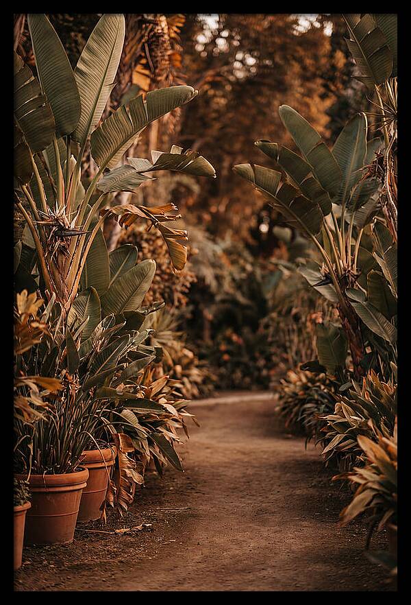 Tropical Garden Pathway