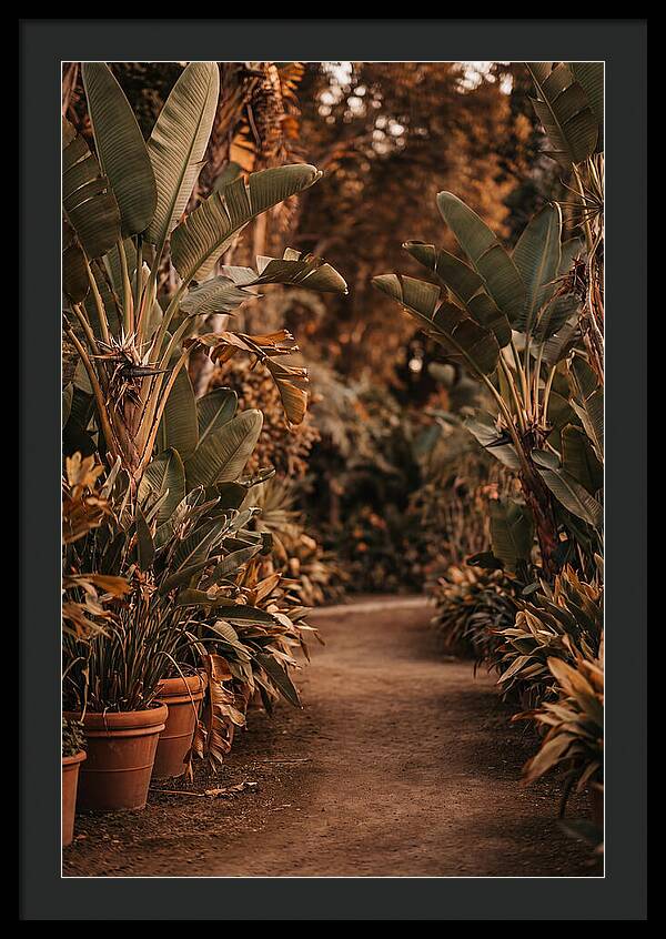 Tropical Garden Pathway