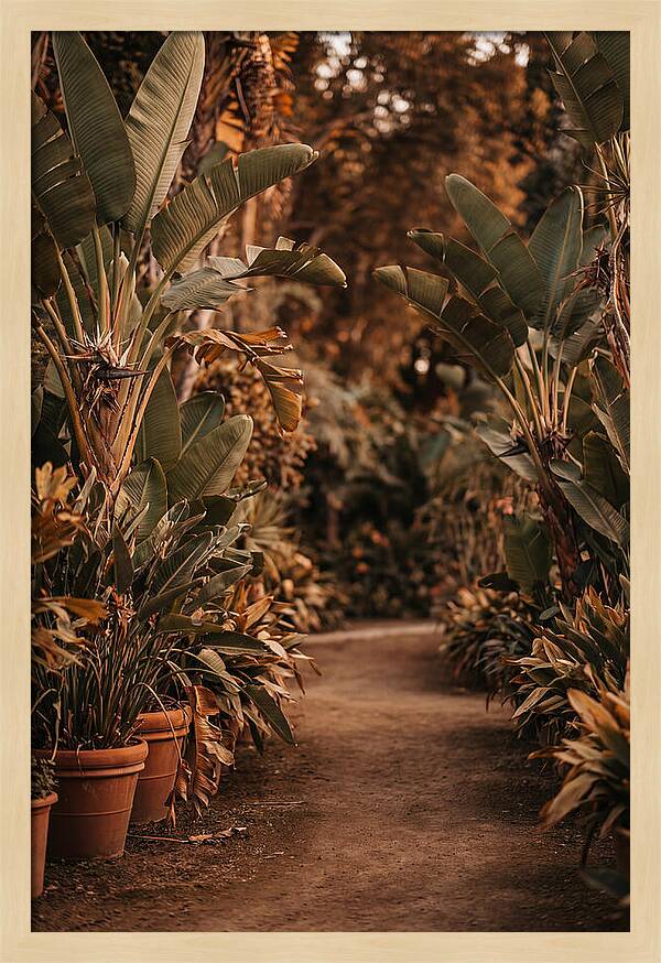 Tropical Garden Pathway