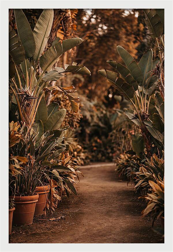 Tropical Garden Pathway