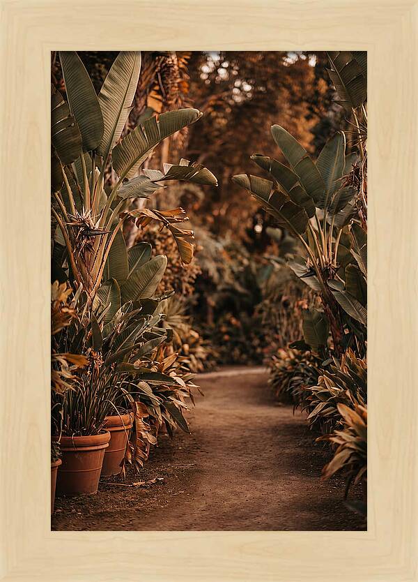 Tropical Garden Pathway