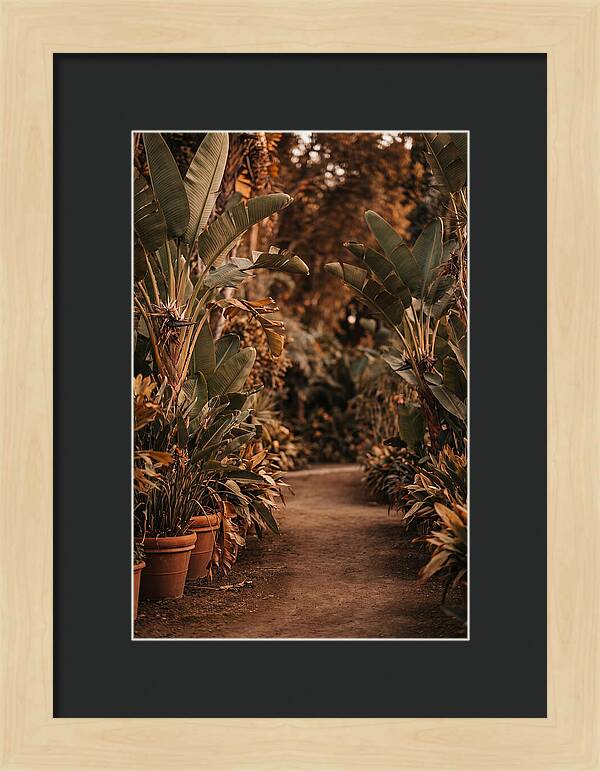Tropical Garden Pathway