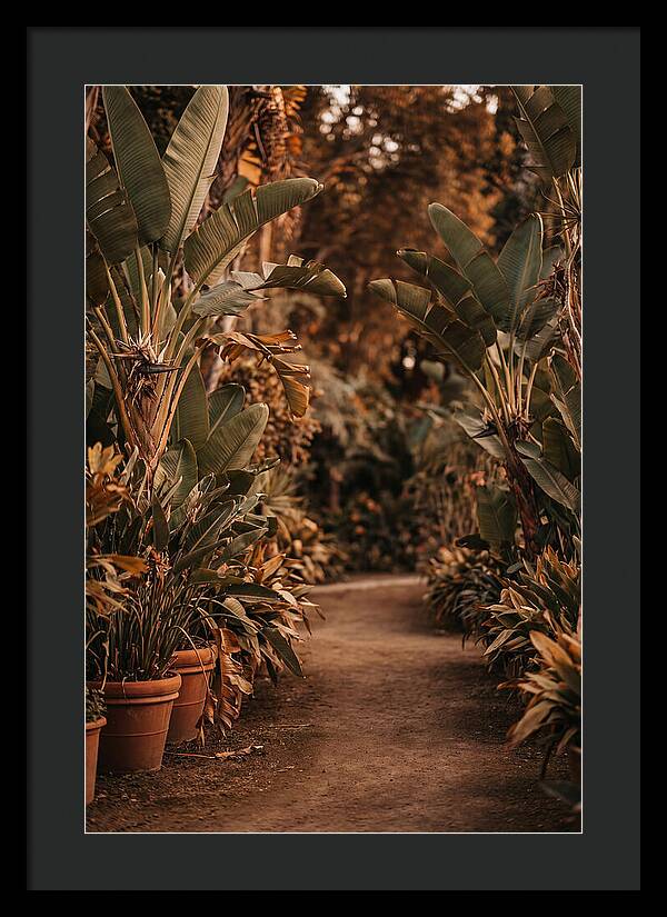Tropical Garden Pathway