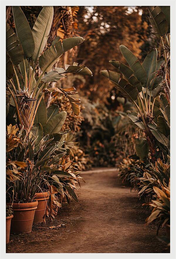 Tropical Garden Pathway