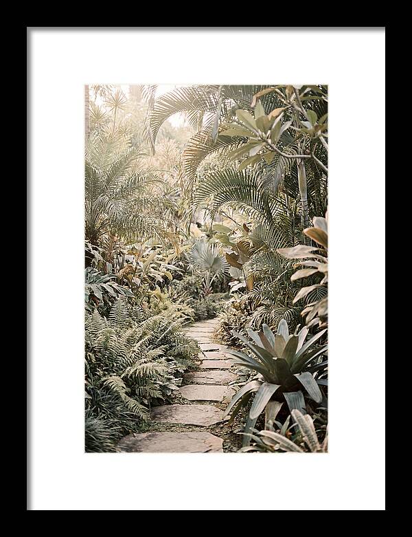 Tropical Garden Pathway
