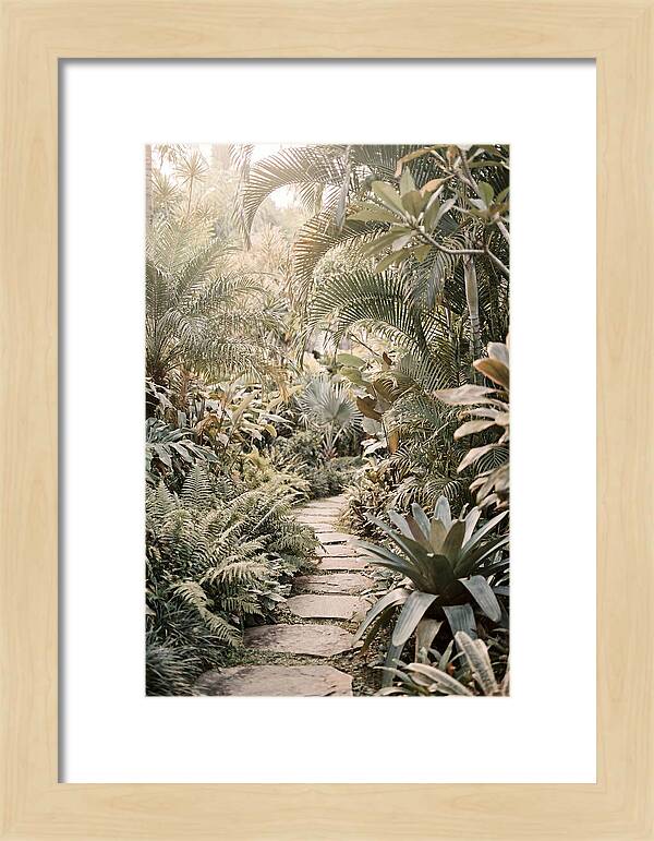 Tropical Garden Pathway