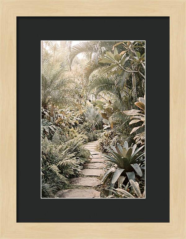 Tropical Garden Pathway