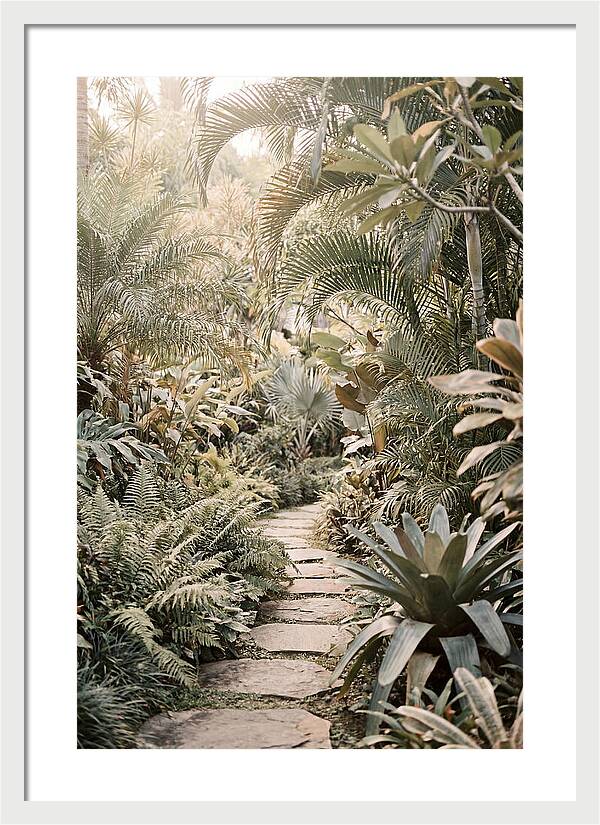 Tropical Garden Pathway