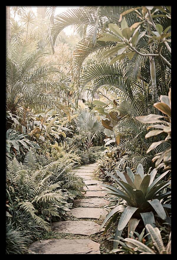 Tropical Garden Pathway
