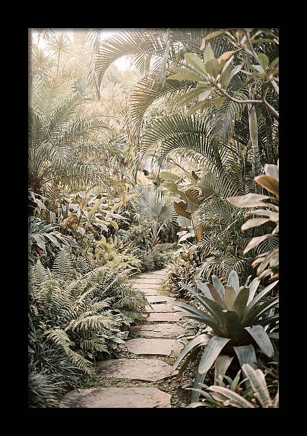 Tropical Garden Pathway