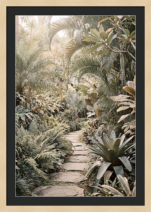 Tropical Garden Pathway