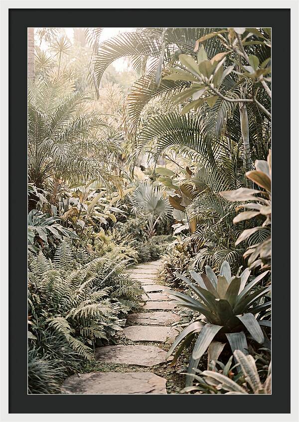 Tropical Garden Pathway