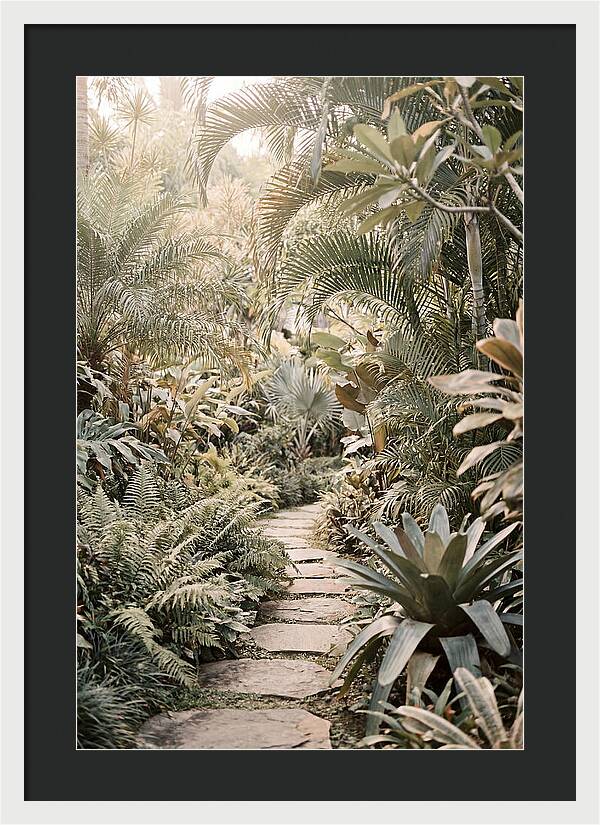 Tropical Garden Pathway