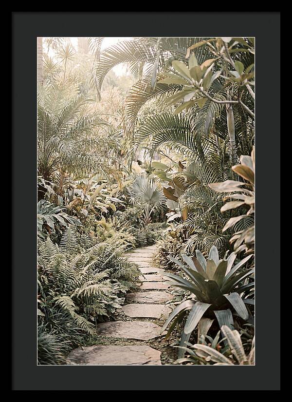 Tropical Garden Pathway