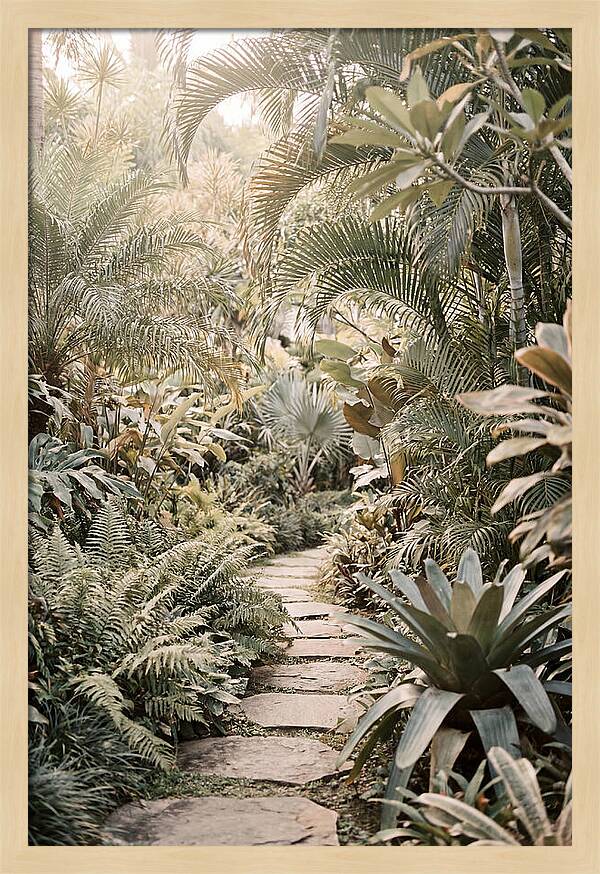 Tropical Garden Pathway