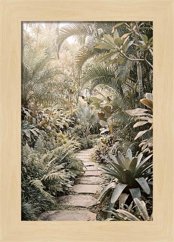 Tropical Garden Pathway