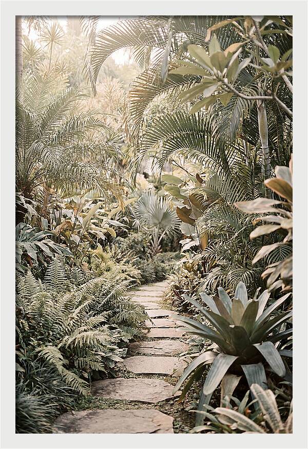 Tropical Garden Pathway