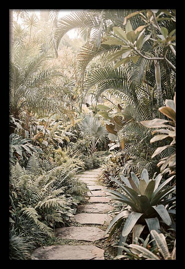 Tropical Garden Pathway