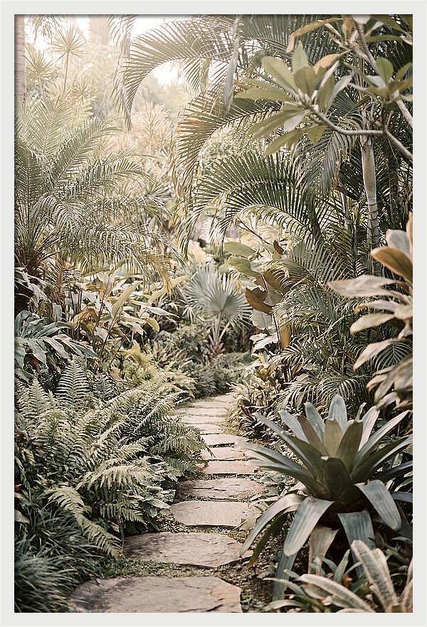 Tropical Garden Pathway