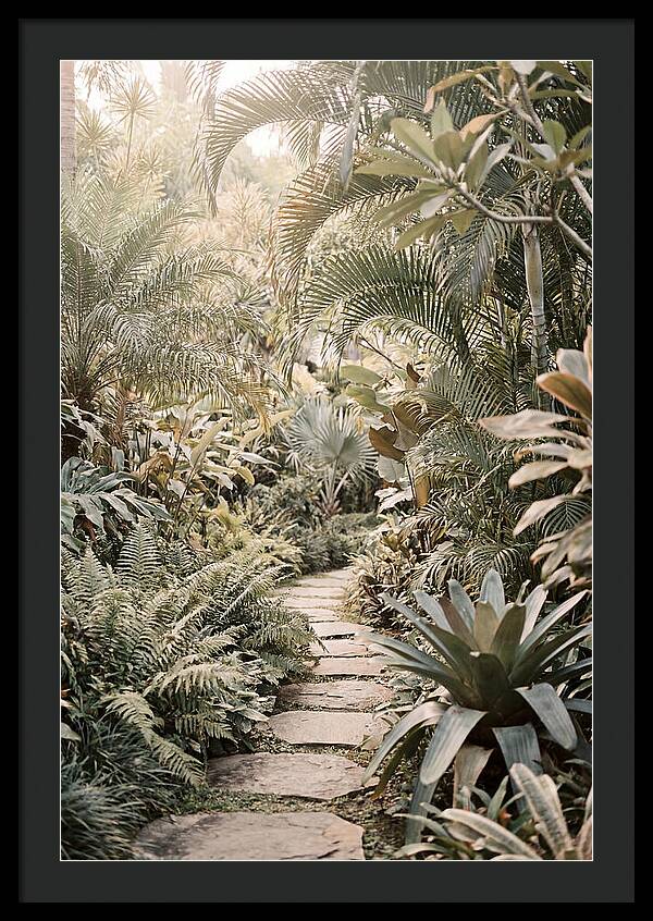 Tropical Garden Pathway