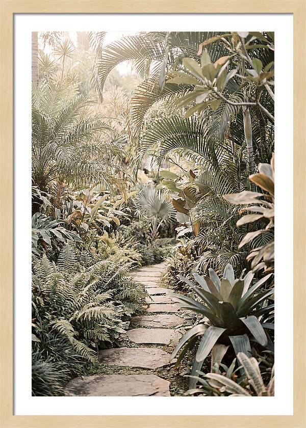 Tropical Garden Pathway