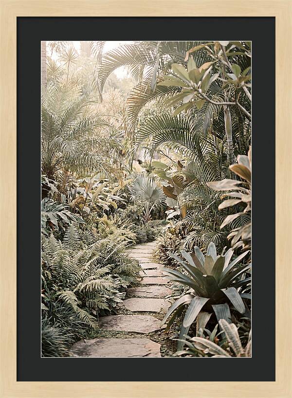 Tropical Garden Pathway