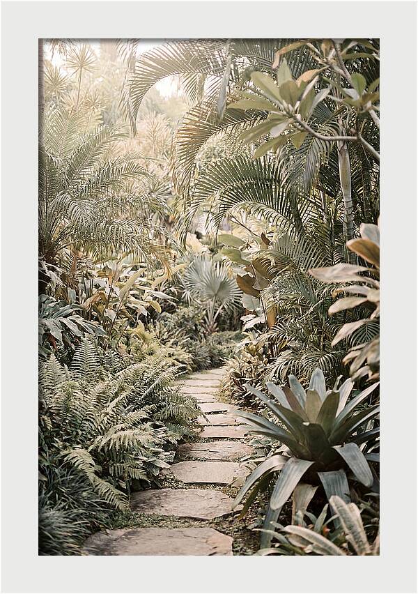 Tropical Garden Pathway