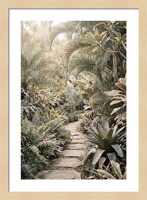 Tropical Garden Pathway
