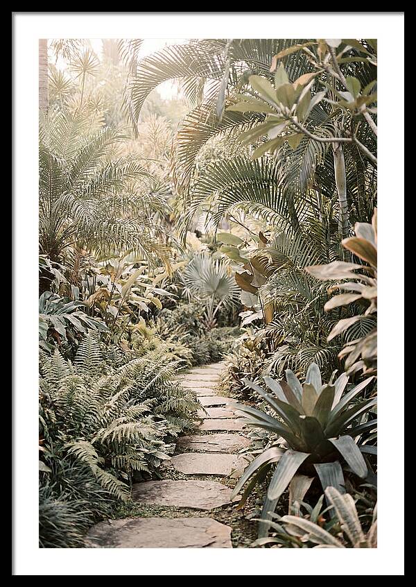 Tropical Garden Pathway