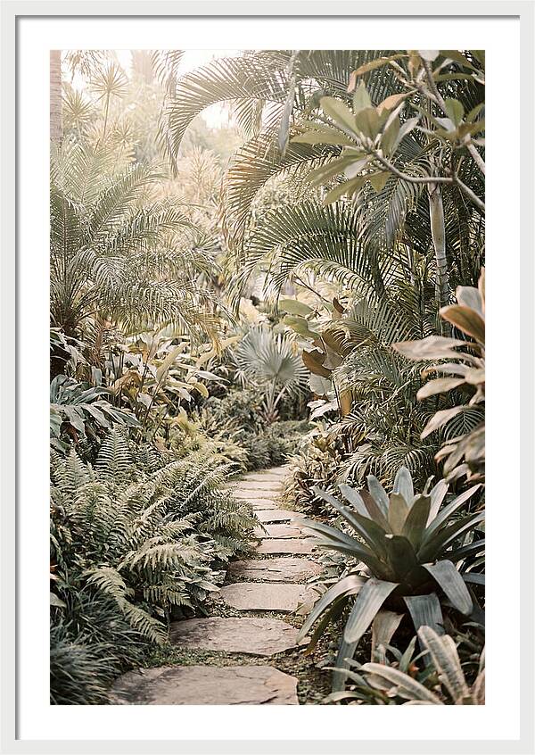 Tropical Garden Pathway