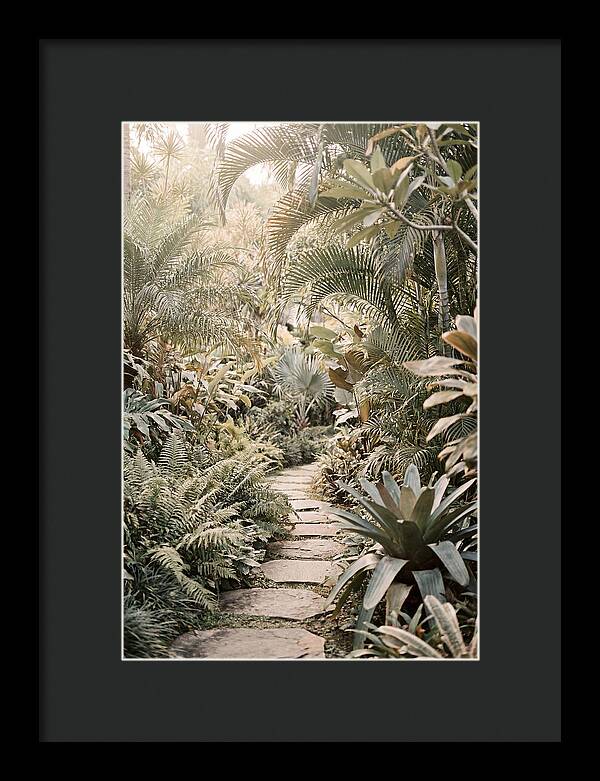 Tropical Garden Pathway
