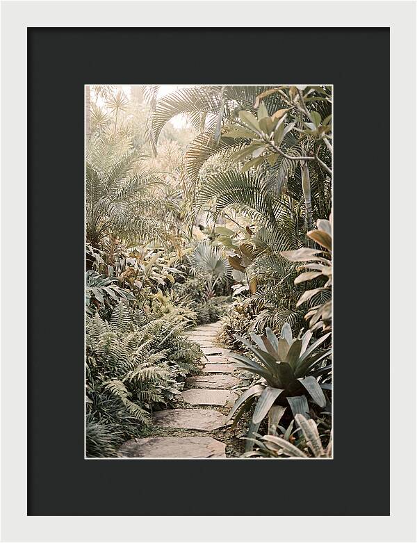 Tropical Garden Pathway