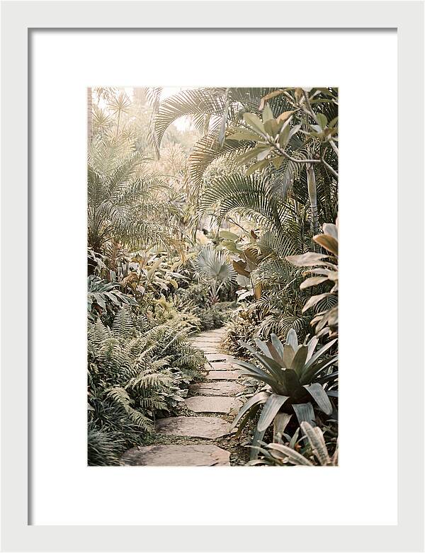 Tropical Garden Pathway