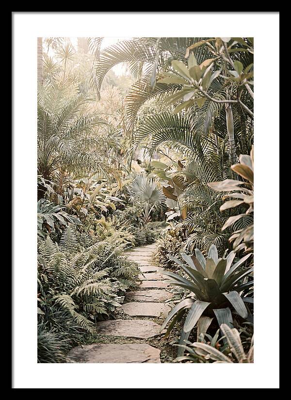 Tropical Garden Pathway