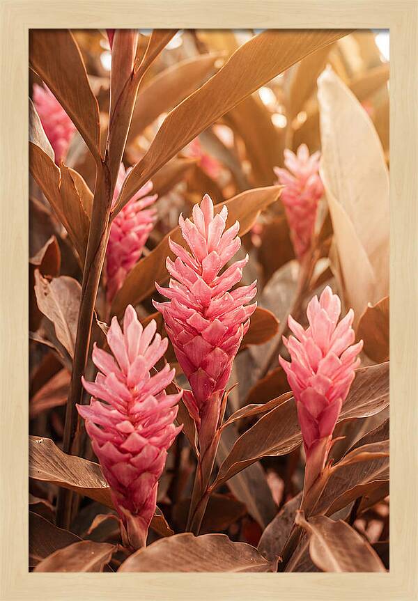 Tropical Ginger Blossom Delight