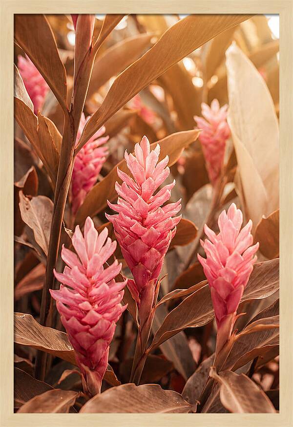 Tropical Ginger Blossom Delight