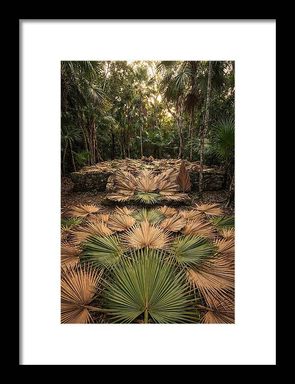 Tropical Leaf Motif