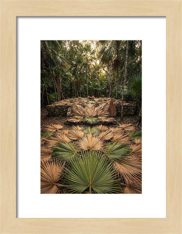 Tropical Leaf Motif