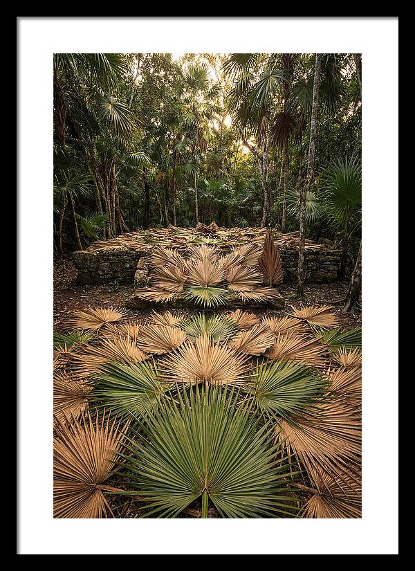 Tropical Leaf Motif